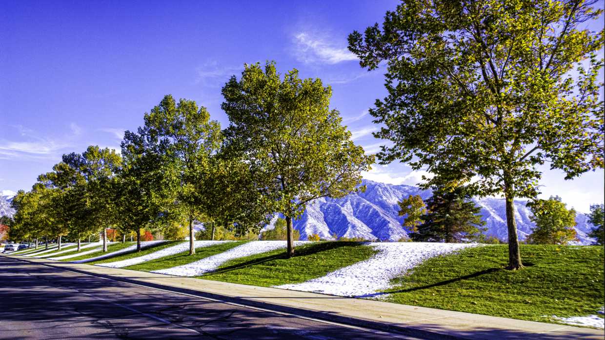 View photo details: Fall's snow Fall's snow